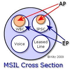 MSIL cross section showing AP & EP